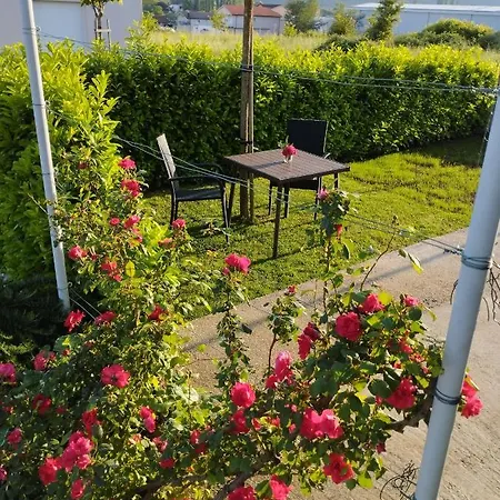 Marija Kuca Za Odmor Apartment Grude